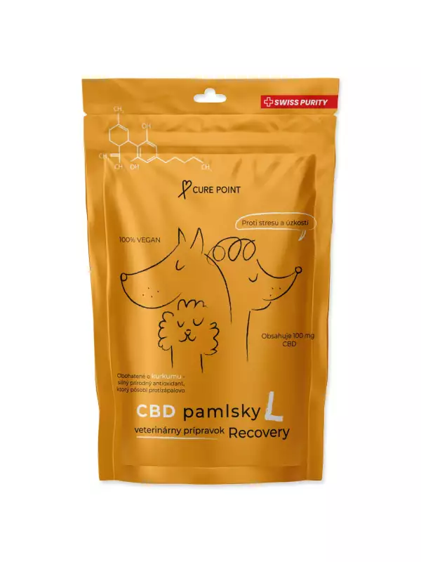 Pochoutka CBD Recovery L  100g