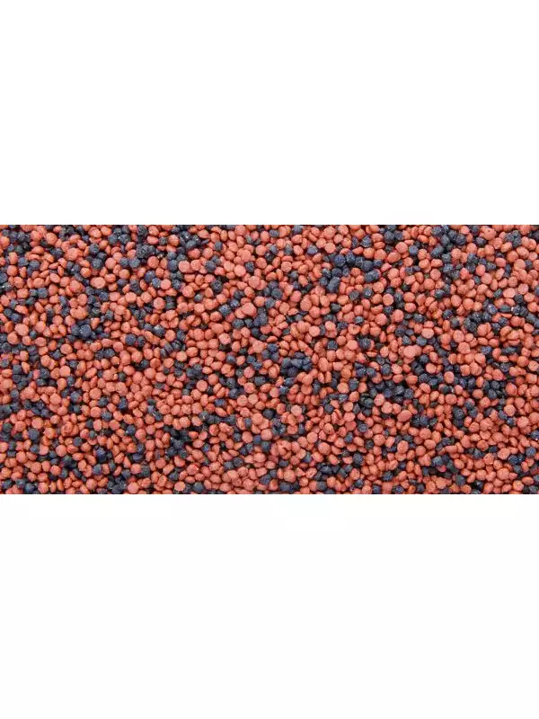 17089-dajana-neon-tetra-mini-granules-250-ml-3