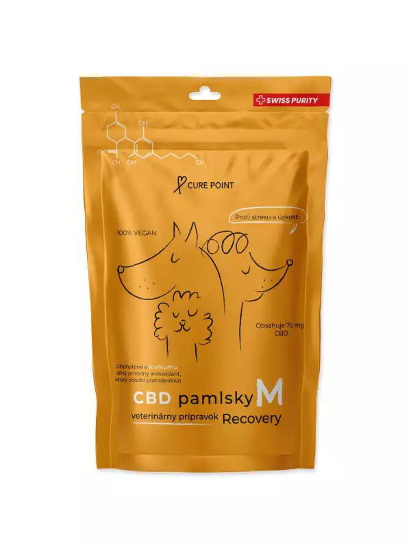 Pochoutka CBD Recovery M 100g